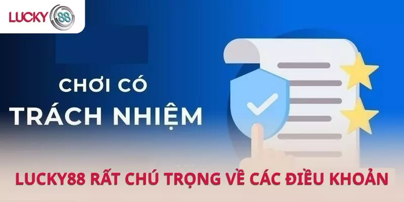 Chú trọng tới cả các khía cạnh liên quan đến chính sách và trách nhiệm